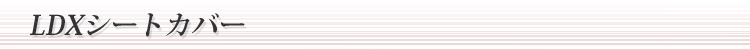 LDXV[gJo[