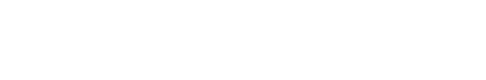 REVENGER