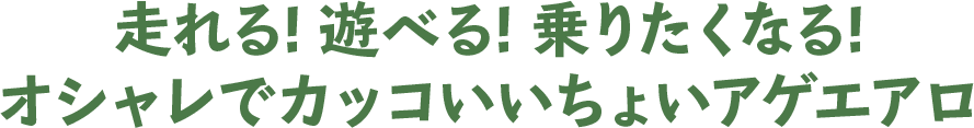 走れる！遊べる！乗りたくなる！　オシャレでカッコいいちょいアゲエアロ