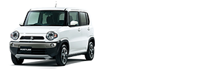 HUSTLER