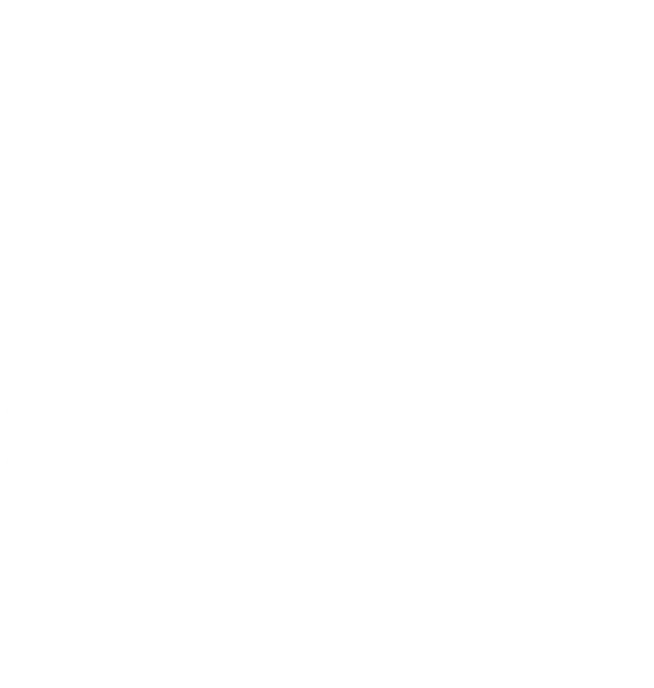 todoroki
